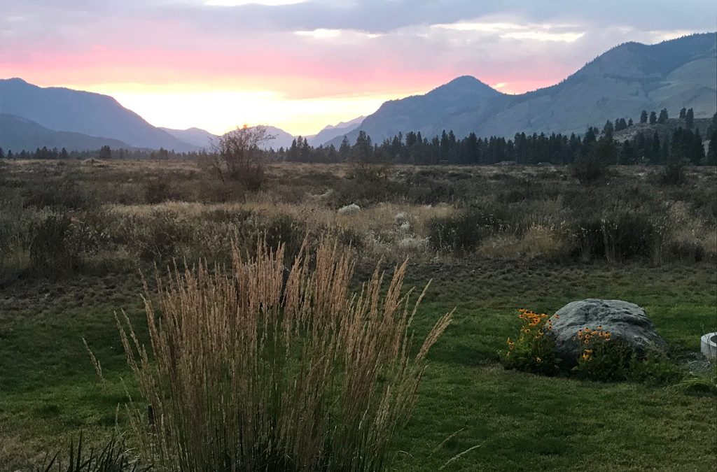 A Creative Community in a Beautiful Valley