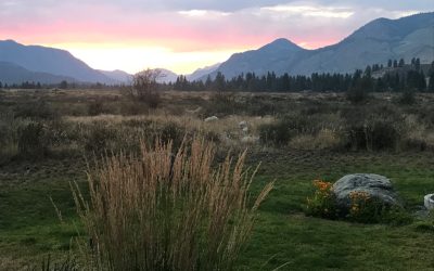 A Creative Community in a Beautiful Valley